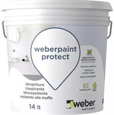Idropittura lavabile antimuffa weberpaint protect, lt. 4